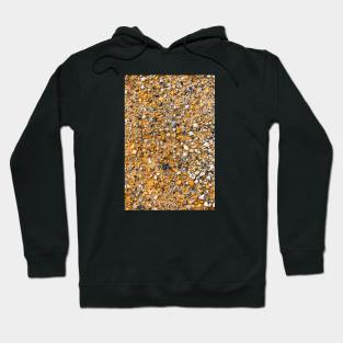 Orange Clay With Crushed Stones - Alternative Hoodie